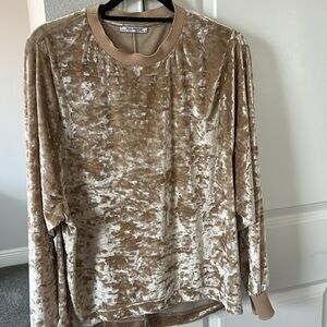 Zara velvet sweatshirt